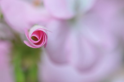DSC_3967.jpg