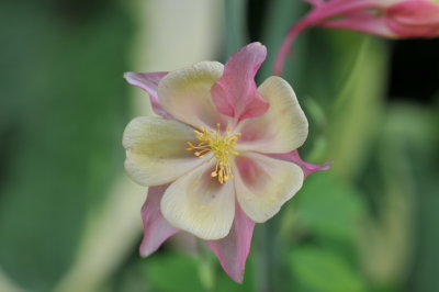 DSC_4331.jpg