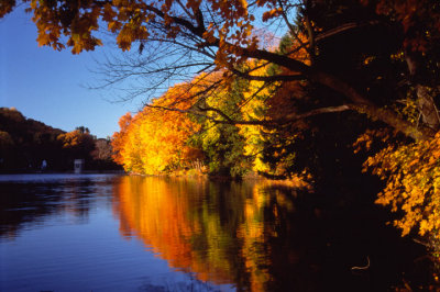 Fall003.jpg