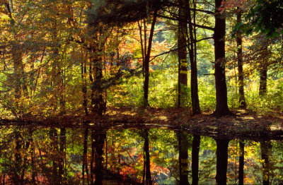 Fall006.jpg
