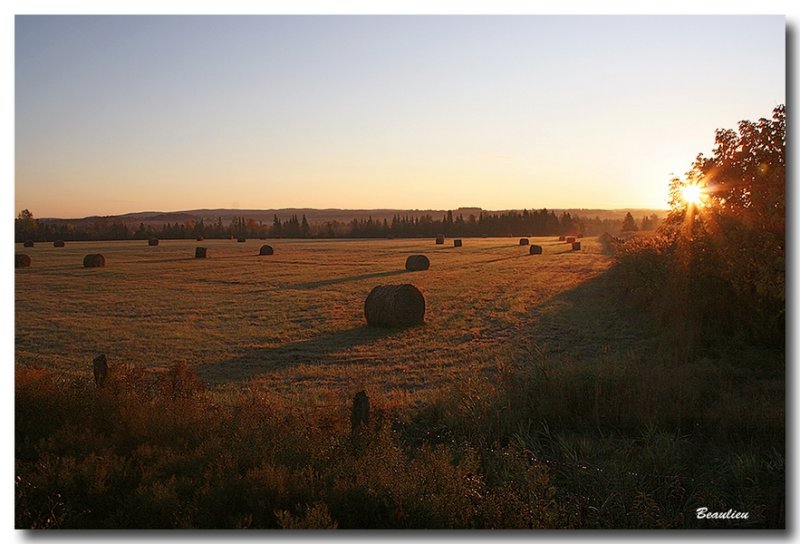 Posie d'automne_04.jpg