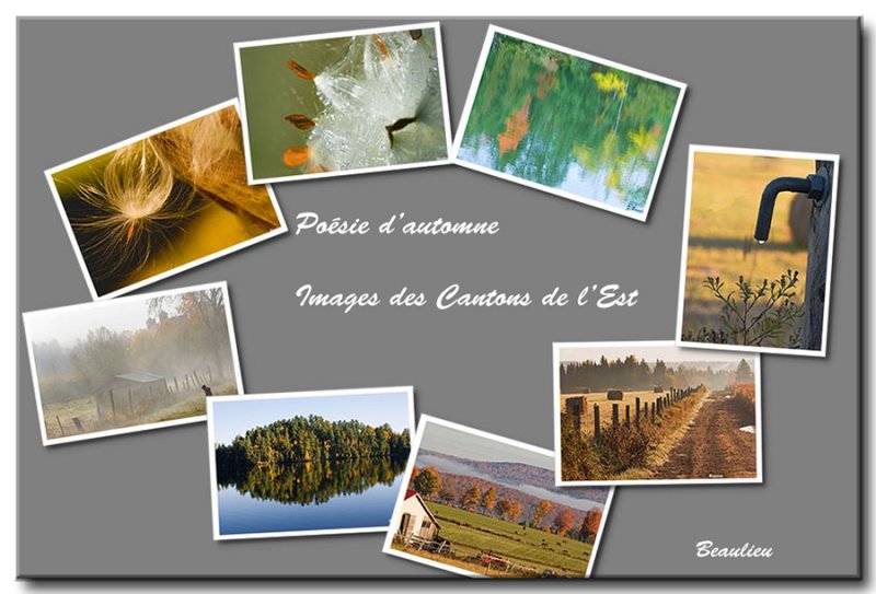 Posie d'automne
