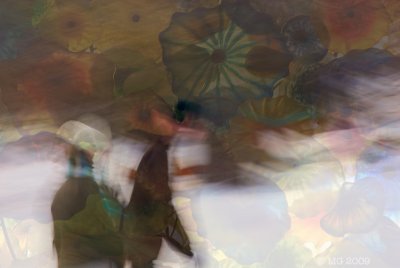 _NK35949 copy.jpg