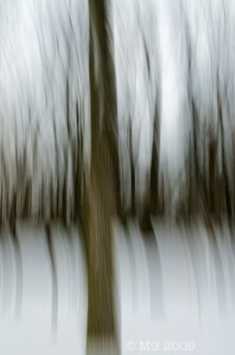 _3NK0054.jpg