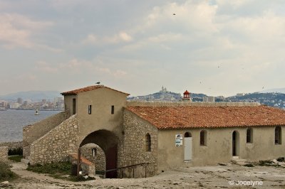 PICT2043.jpg