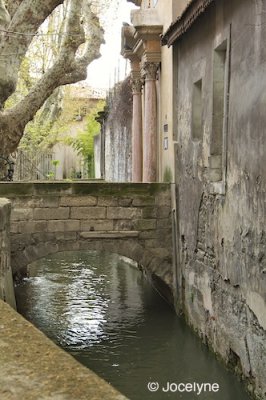 PICT2586.jpg