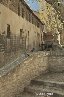 PICT2607.jpg