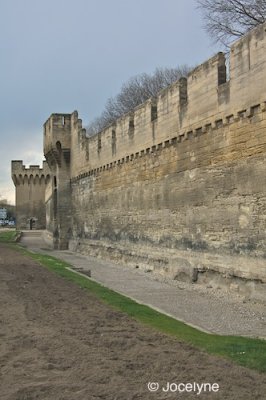 PICT2616.jpg