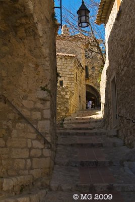 _DSC1951.jpg