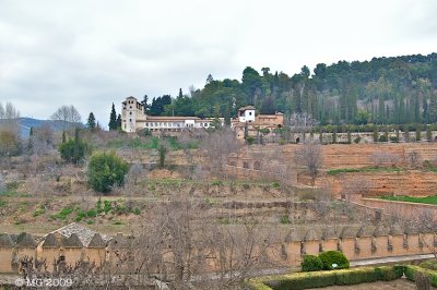 PICT5440.jpg