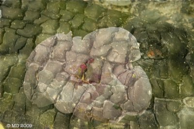 _3NK2891exp 1.jpg