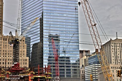 _DSC9529.jpg
