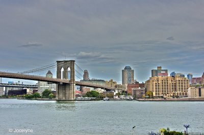 _DSC9550.jpg