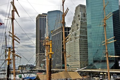 _DSC9567.jpg