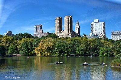 _DSC9784.jpg