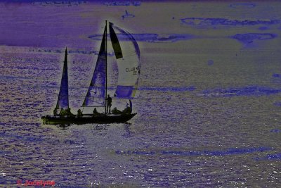 _DSC1011.jpg