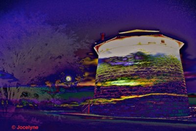 _DSC1687 B.jpg