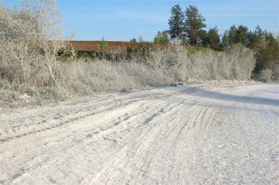 DSC_5813.jpg