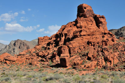 MOR_4900.jpg
