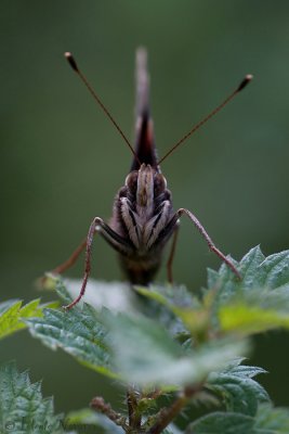 g1/00/977000/3/131803273.nckaUp3U.jpg