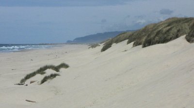Beach at the Oregon Dunes
