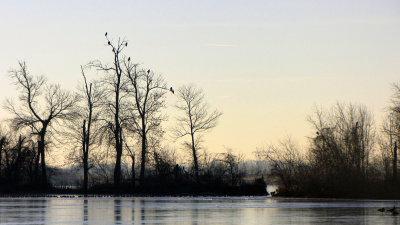 GPM20110103090917.jpg