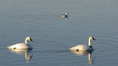 GPM20110103091452.jpg
