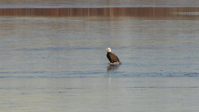 GPM20110103092359.jpg