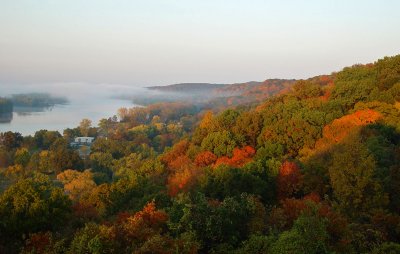 Autumn Leaves along the Illinois River