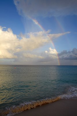 IMG_3479.jpg