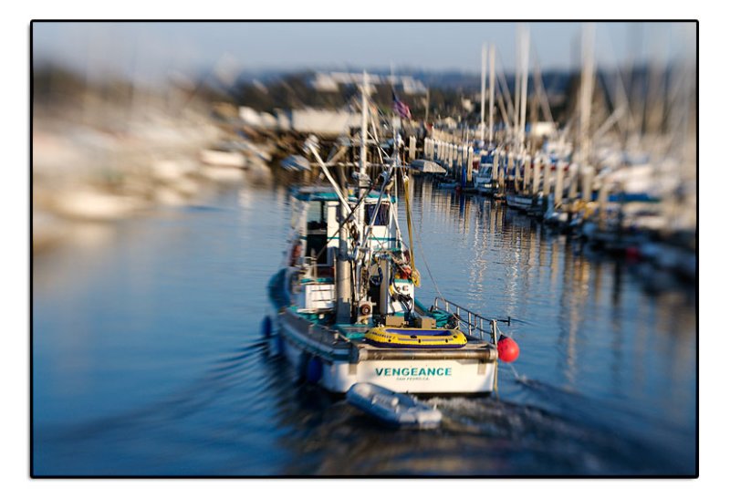 Monterey Marina