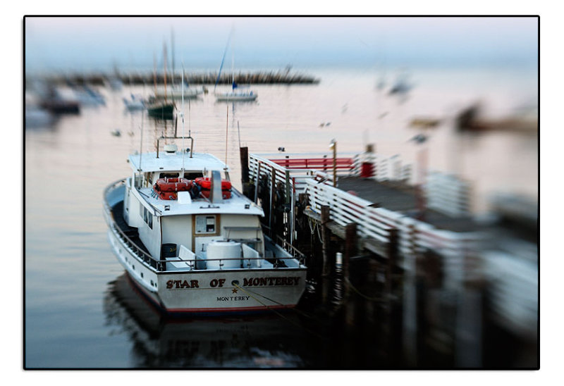 Monterey Marina