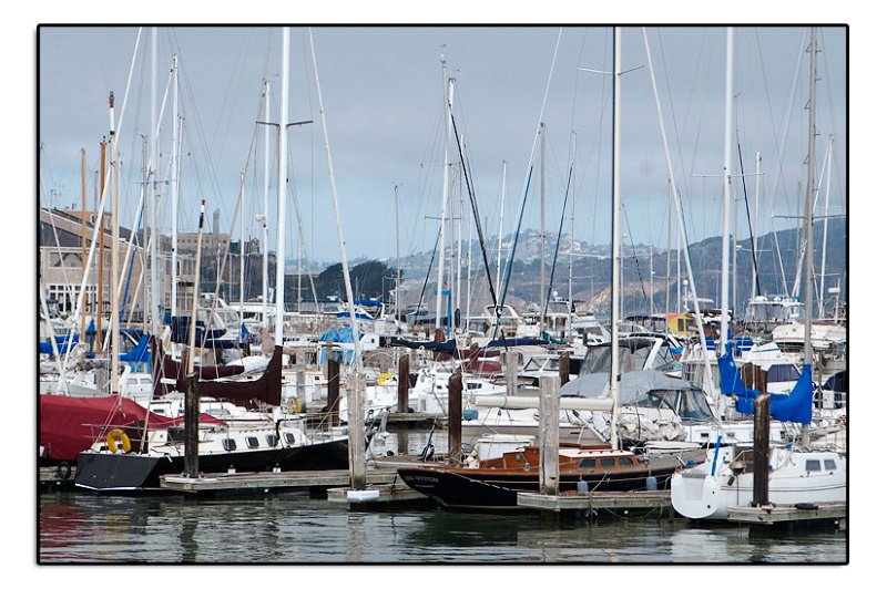SF Bay Harbor