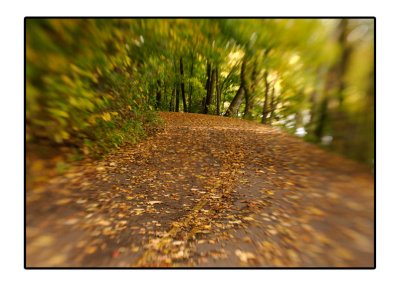 _D3C4880_1.jpg