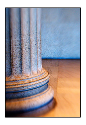 morel110508.jpg