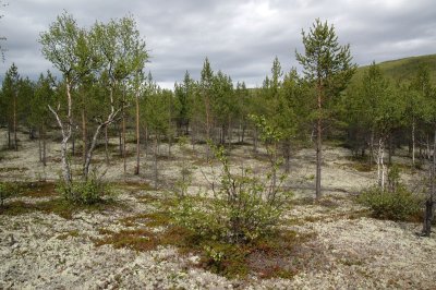 Utsjoki2.jpg