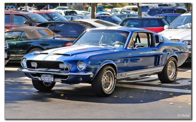 Ford Shelby GT 350