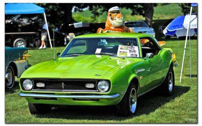 g1/01/128001/3/116131839.F85wh4Ln.jpg
