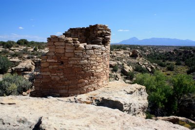 Tower Point