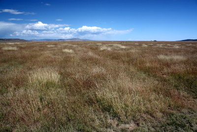 Linear depresssion is the trace of the Sanat Fe Trail