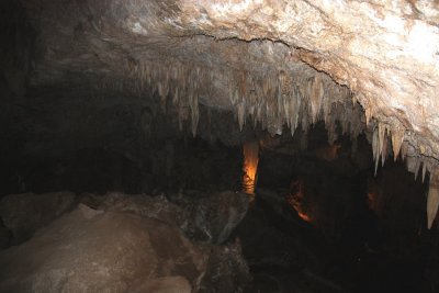 IMG_3153a.jpg