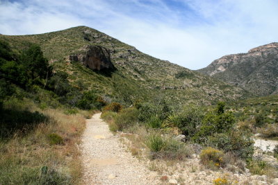 Trail up McKittrick Canyon