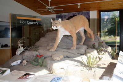 Chisos Mountain Visitor Center
