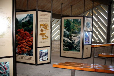 McKittrick Canyon exhibits