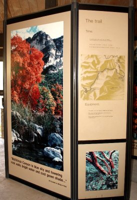 McKittrick Canyon displays