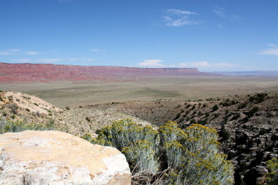 Overlook - Vermilion Cliffs National Monument in the background