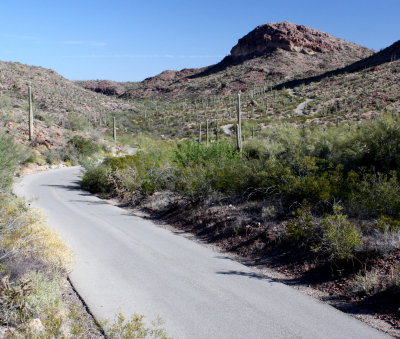 Ajo Mountain Drive