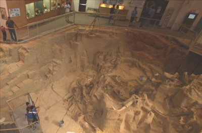 2 Mammoth Site excavaton 