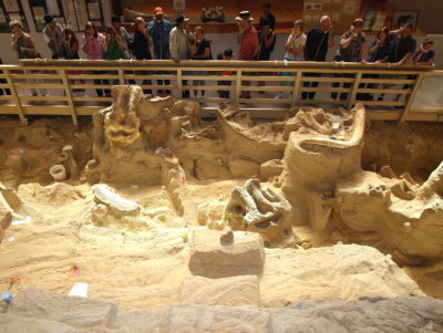 2 Mammoth Site excavation 