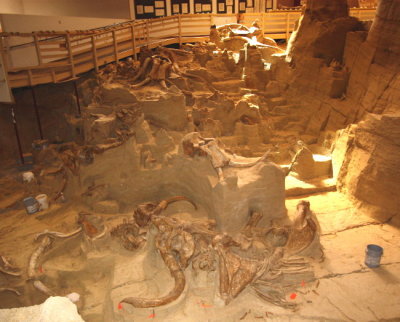 2 Mammoth Site excavaton 